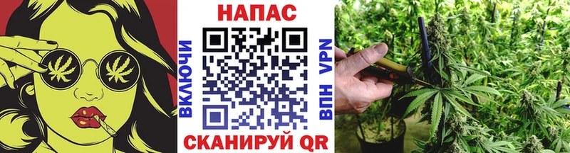 Канабис план  Лабинск 